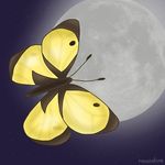 Moonlight art Moonlight art