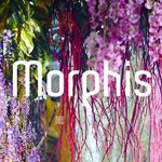 Morphis Landscape Architecture