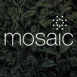 Mosaic Kansas City