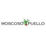 Fundacion Moscoso Puello