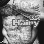 Mr. Hairy