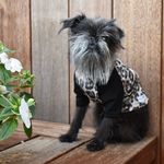 Mr Soft Top - Designer Dogwear