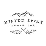 🌸Mynydd Epynt Flower Farm🌸