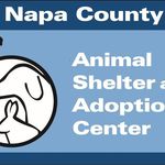 Napa County Animal Shelter