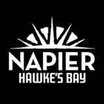 Napier City Business Inc.