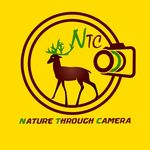 Nature Through Camera - NTC