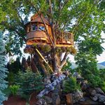 Nelson Treehouse and Supply