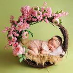 Newborn Photography Dubai