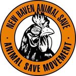 New Haven Animal Save