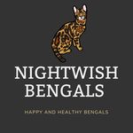 Nightwish Bengals Cattery