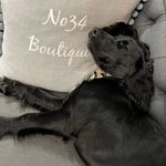 No34 Boutique