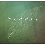 Noduri Jewelry by Amy Longley