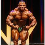 IFBB PRO Noel Adame