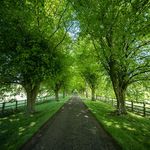 Notley Abbey Wedding Venue