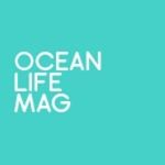 Ocean Life Magazine