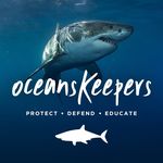 Oceans' Keepers 🦈 Save Sharks