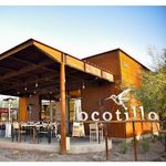 Ocotillo