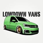 Lowdown vans 🌎