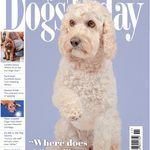 Dogs Today Magazine