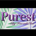 Official_purestbyFE