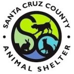 Official SCC Animal Shelter