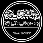 WIJA TAU SOPPENG🌐