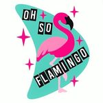 Oh So Flamingo