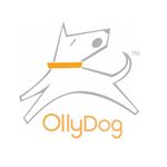 OllyDog