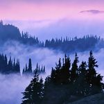 Olympic National Park (OHMS)