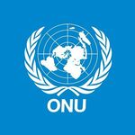 Organización Naciones Unidas