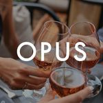 Opus Inner Pleasure