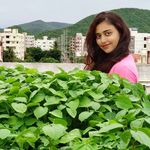 Terrace gardener