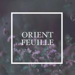 Orient  Choette🌿オリエントフイユ