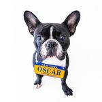 Oscar