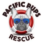 Pacific Pups Rescue 🐾