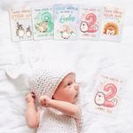 PREMIUM Baby Milestone Cards