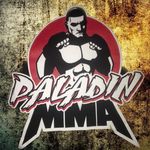 Paladin MMA Academy (Hialeah )