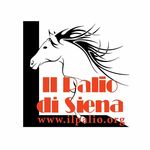 Il Palio di Siena