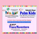 Palm Kids School