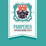 Pampered Pooches TO 🐾