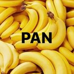 PAN