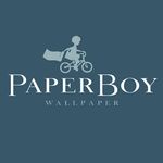 PaperBoyWallpaper