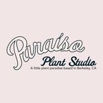 Paraíso Plant Studio