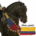 PASIÓN EQUINA COL ®