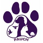 PAUCH 🐾