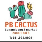 PB •CACTUS• พีบีแคคตัส