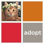 Humane Society For SW WA