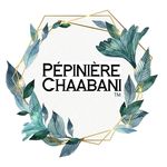 Pépinière Chaabani