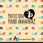 PerrosAbandona2