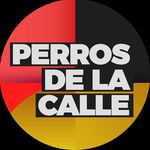 Perros De La Calle